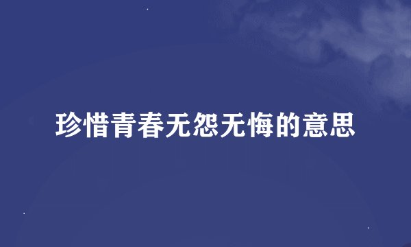 珍惜青春无怨无悔的意思