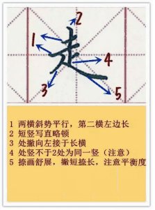走字的旁有哪些字?