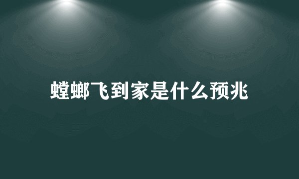 螳螂飞到家是什么预兆