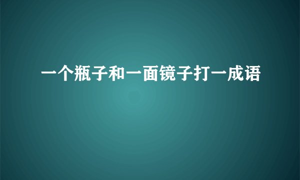 一个瓶子和一面镜子打一成语