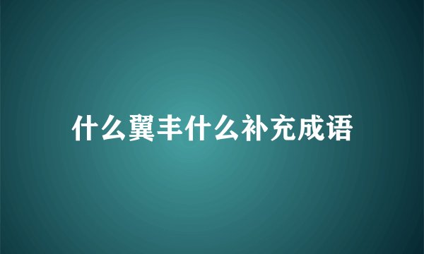 什么翼丰什么补充成语