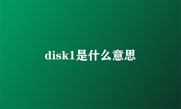 disk1是什么意思