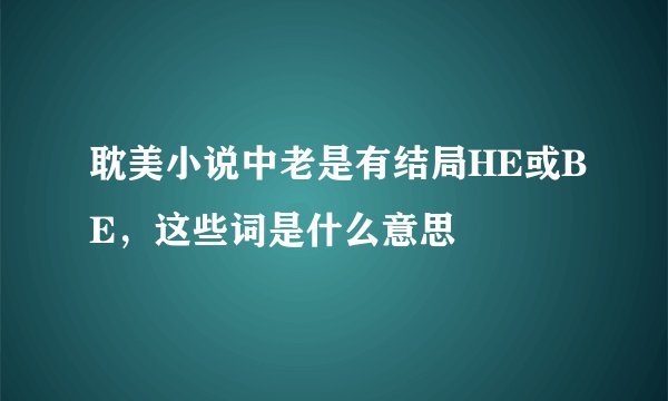 耽美小说中老是有结局HE或BE,这些词是什么意思
