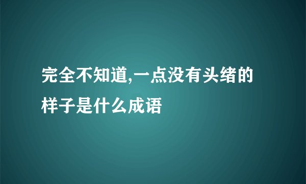 完全不知道,一点没有头绪的样子是什么成语