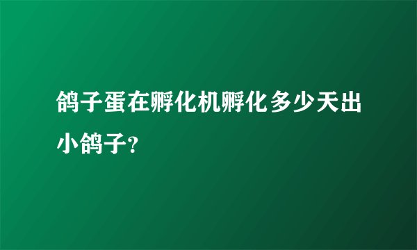 鸽子蛋在孵化机孵化多少天出小鸽子？