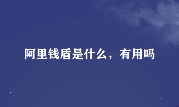 阿里钱盾是什么，有用吗