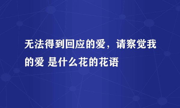 无法得到回应的爱，请察觉我的爱 是什么花的花语