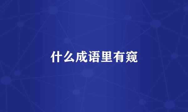什么成语里有窥