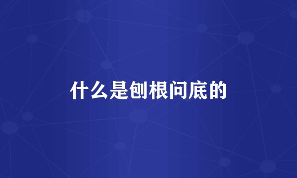 什么是刨根问底的