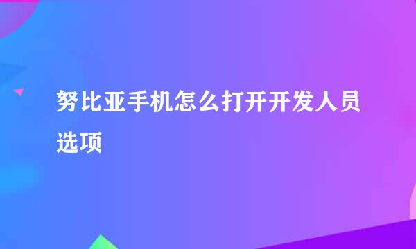 努比亚手机怎么打开开发人员选项