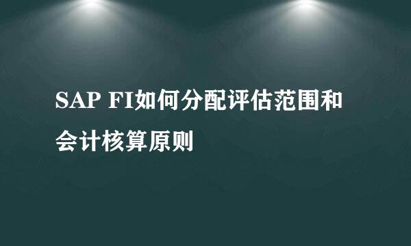 SAP FI如何分配评估范围和会计核算原则