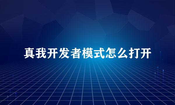 真我开发者模式怎么打开