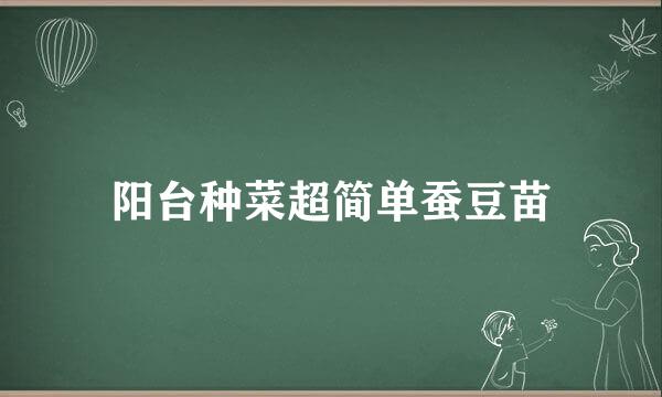 阳台种菜超简单蚕豆苗