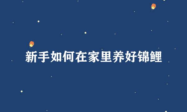 新手如何在家里养好锦鲤