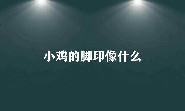 小鸡的脚印像什么