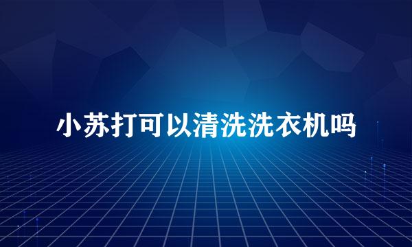 小苏打可以清洗洗衣机吗