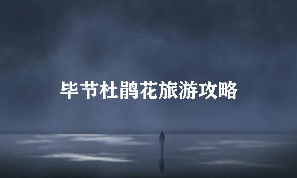 毕节杜鹃花旅游攻略