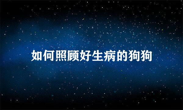 如何照顾好生病的狗狗