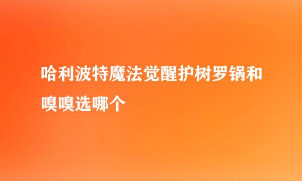 哈利波特魔法觉醒护树罗锅和嗅嗅选哪个