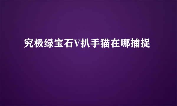 究极绿宝石V扒手猫在哪捕捉