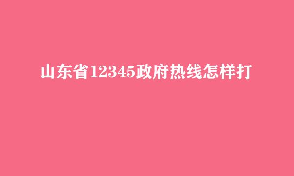 山东省12345政府热线怎样打