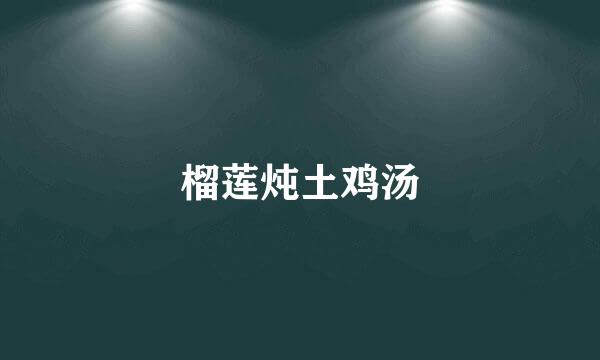 榴莲炖土鸡汤