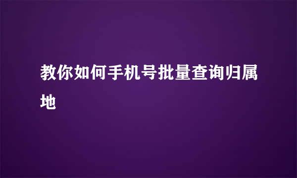 教你如何手机号批量查询归属地