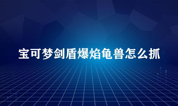 宝可梦剑盾爆焰龟兽怎么抓