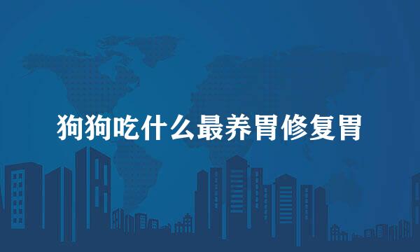 狗狗吃什么最养胃修复胃
