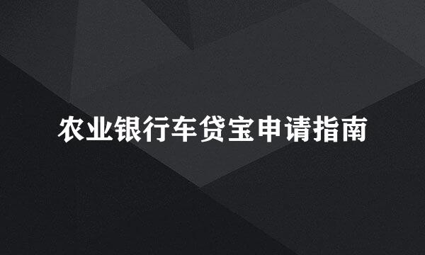 农业银行车贷宝申请指南