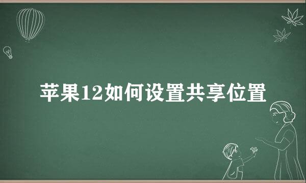 苹果12如何设置共享位置
