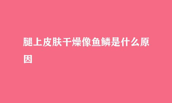 腿上皮肤干燥像鱼鳞是什么原因