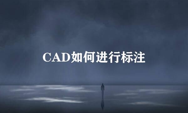 CAD如何进行标注