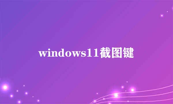 windows11截图键