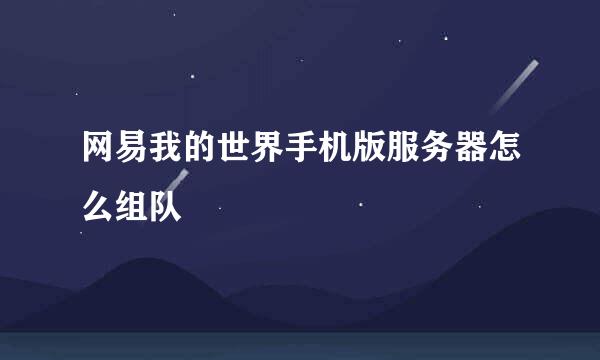 网易我的世界手机版服务器怎么组队