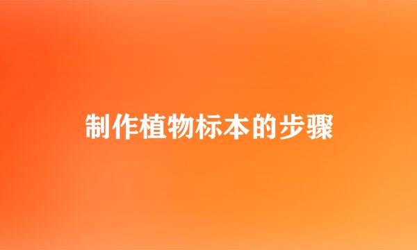 制作植物标本的步骤