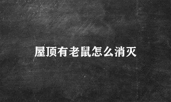 屋顶有老鼠怎么消灭