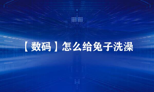 【数码】怎么给兔子洗澡