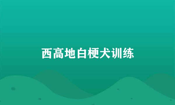 西高地白梗犬训练