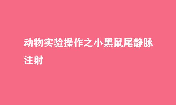 动物实验操作之小黑鼠尾静脉注射