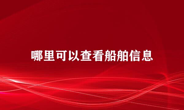 哪里可以查看船舶信息