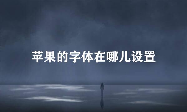 苹果的字体在哪儿设置