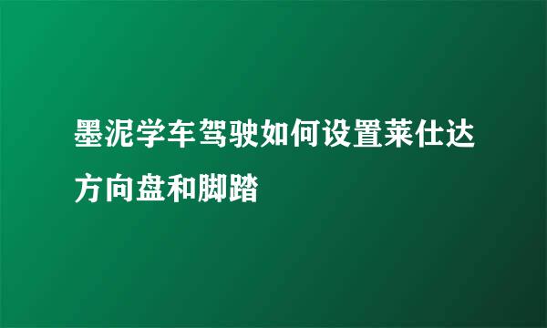 墨泥学车驾驶如何设置莱仕达方向盘和脚踏