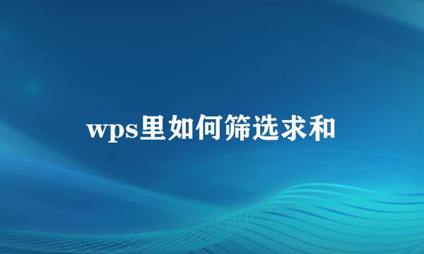 wps里如何筛选求和