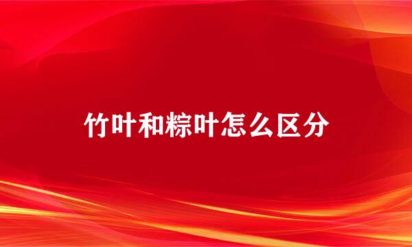 竹叶和粽叶怎么区分
