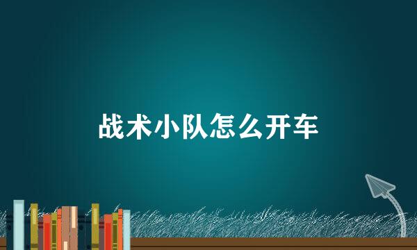 战术小队怎么开车