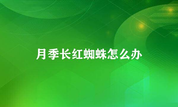 月季长红蜘蛛怎么办