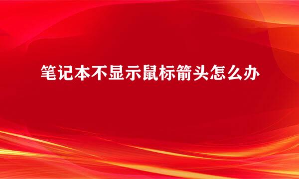 笔记本不显示鼠标箭头怎么办