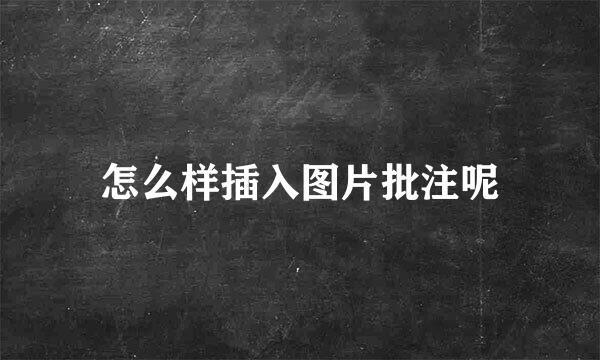 怎么样插入图片批注呢
