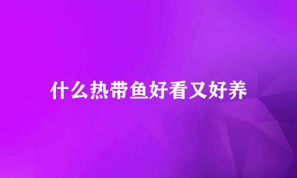 什么热带鱼好看又好养